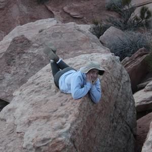 Meet your Posher, Dante